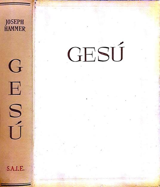 Quando Gesù viveva tra di noi - Joseph Hammer - copertina