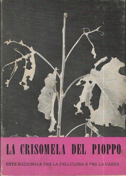 La Crisomela del Pioppo - copertina