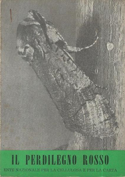Il Perdilegno Rosso - copertina