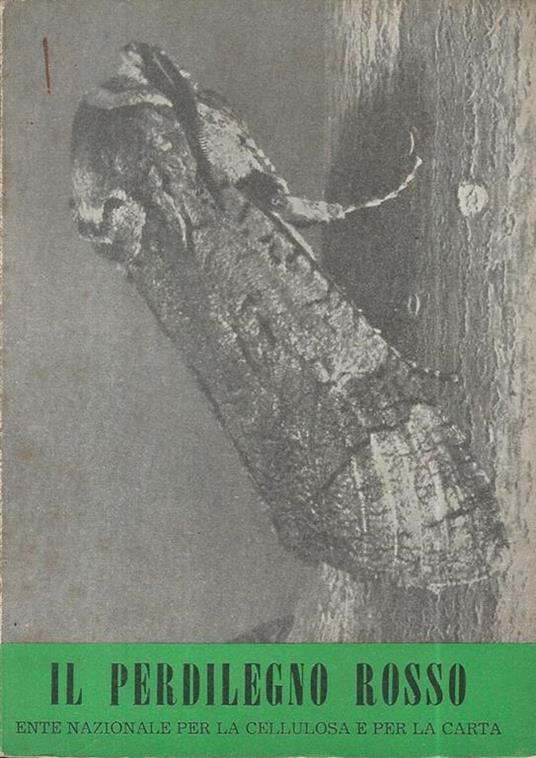 Il Perdilegno Rosso - copertina