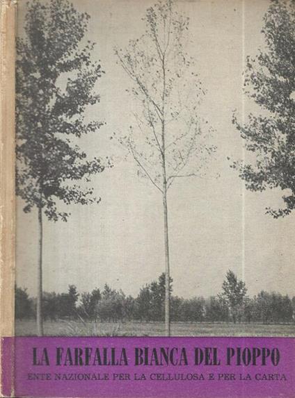 La farfalla bianca del Pioppo - copertina