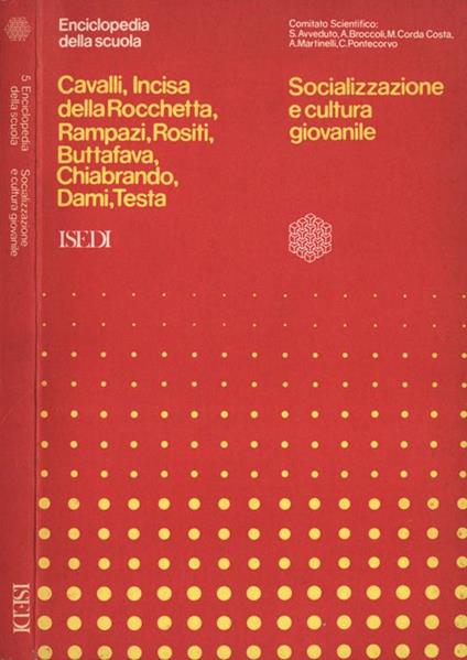 Socializzazione e cultura giovanile - copertina
