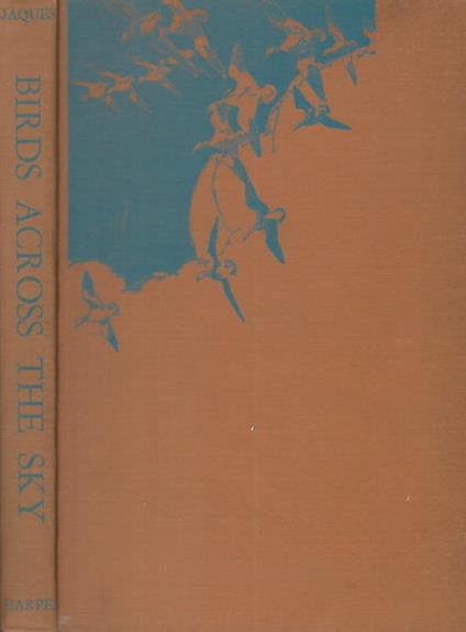 Birds Across The Sky - copertina