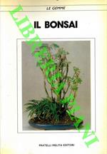 Il bonsai