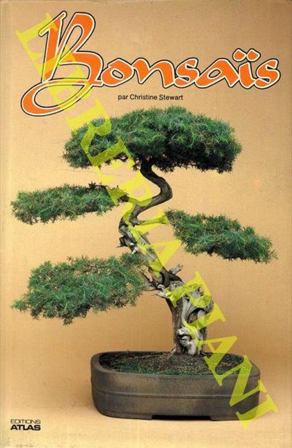 Bonsais - Christine Stewart - copertina