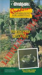 Flavescenza dorata della vite. Tutti gli interventi di lotta obbligatoria