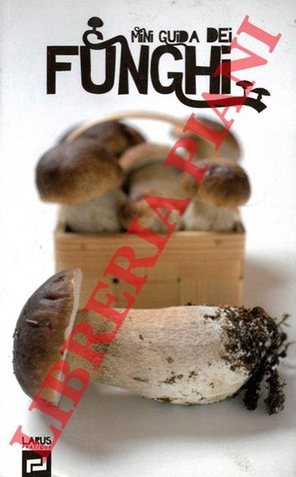 Funghi - copertina