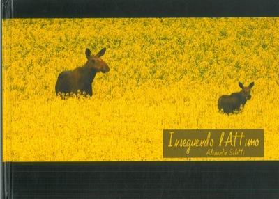 Inseguendo l'attimo - Alessandro Seletti - copertina