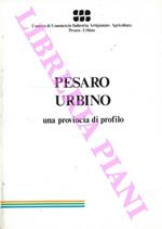 Pesaro Urbino una provincia di profilo
