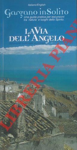La via dell'Angelo. Itinerario culturale europeo. The Angel's Way