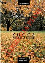 Zocca. Pensieri a colori