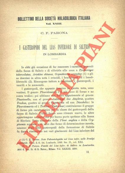 I Gasteropodi del Lias inferiore di Saltrio in Lombardia - Carlo Fabrizio Parona - copertina