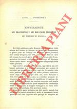 Enumerazione dei Brachiopodi e dei Molluschi pliocenici dei dintorni di Bologna