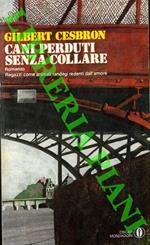 Cani perduti senza collare