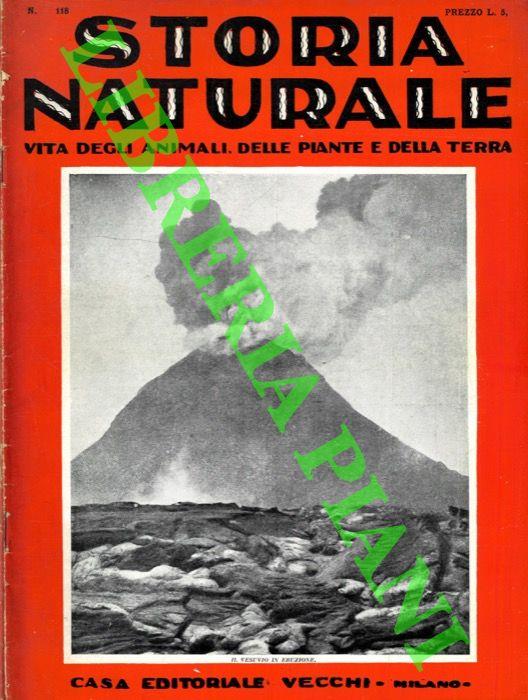 Storia naturale. Vita degli animali, delle piante e della terra. Volume IV. Geologia