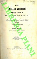 Degli uccelli veronesi