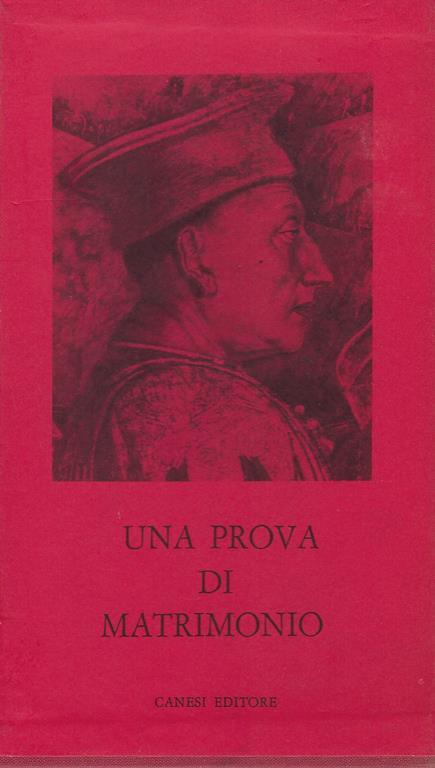 Una prova di matrimonio : Medici e Gonzaga - copertina