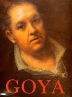 Goya His Life And Work, With A Catalogue Raisonné Of The Paintings Drawings And Engravings