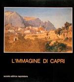 L' immagine di Capri. Capri, Certosa di San Giacomo 1980-1981