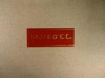 Le incisioni di Peter Bruegel il Veccho. Catalogo storico scientifico dell'opera completa