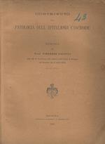 Contributo alla patologia dell'epitelioma cancroide. Memoria