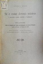 Se e come devono esistere o possono essere aboliti i brefotrofi. Prole illegittima - Sussidi d'allevamento - Riconoscimenti materni - Ricerca della paternità