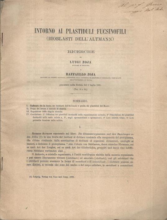Intorno ai plastiduli fucsinofili (bioblasti dell'Altmann). Ricerche - copertina