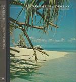 La grande barriera corallina