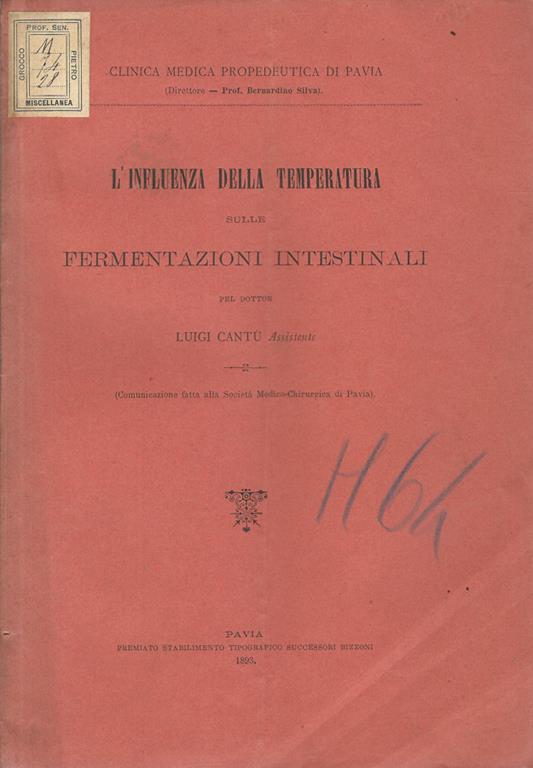 Biblioteca di Babele