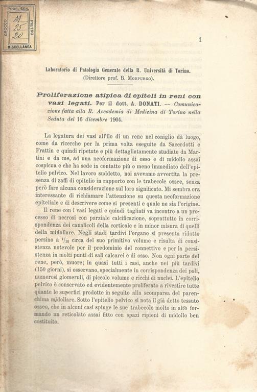 Proliferazione atipica di epiteli in reni con vasi legati - A. Donati - copertina