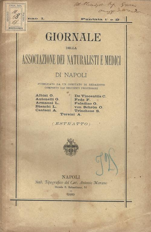 Biblioteca di Babele