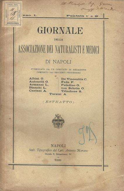 Del reperto microscopico delle urine quale criterio diagnostico della glomerulo-nefrite - Francesco Fede - copertina