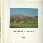La campagna lucchese