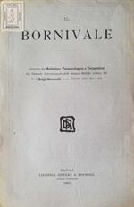 Il bornivale
