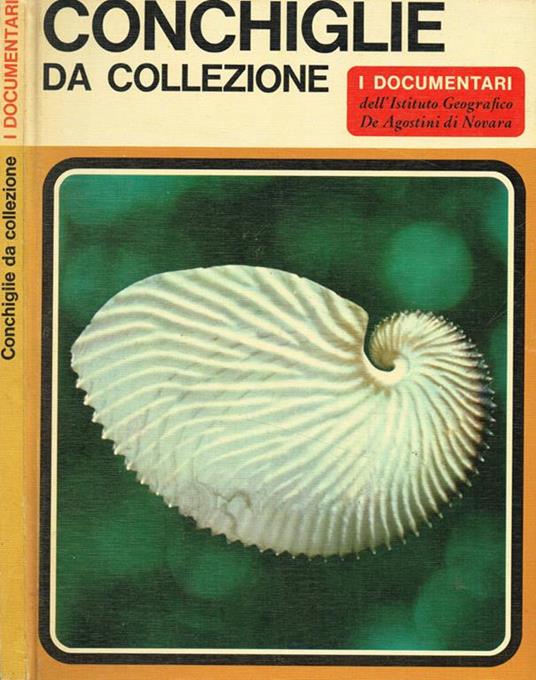 Conchiglie da collezione - Sergio Angeletti - copertina
