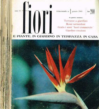 Fiori e piante. In giardino in terrazza in casa. Rivista mensile anno III - Stelvio Coggiatti - copertina