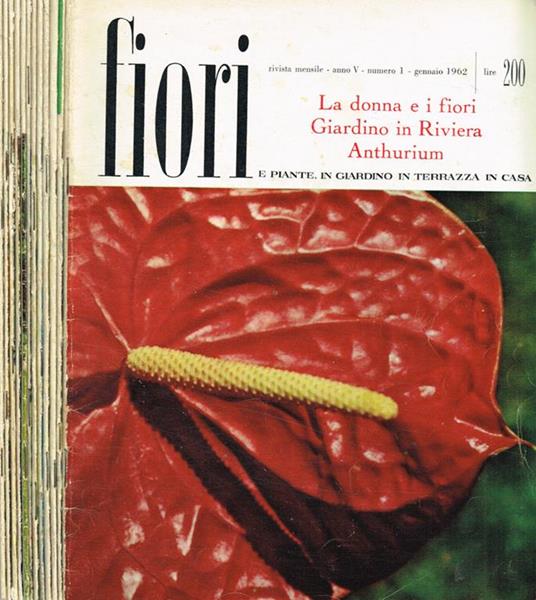 Fiori e piante. In giardino in terrazza in casa. Rivista mensile anno V - Stelvio Coggiatti - copertina
