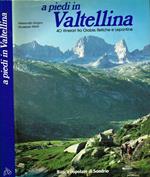 A piedi in Valtellina. 40 itinerari fra Orobie, Retiche e Lepontine