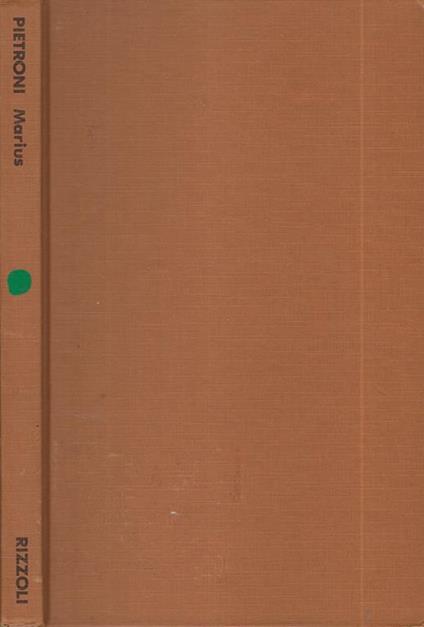 Marius. Ho ucciso un uomo. Vi chiedo aiuto - Paolo Pietroni - copertina