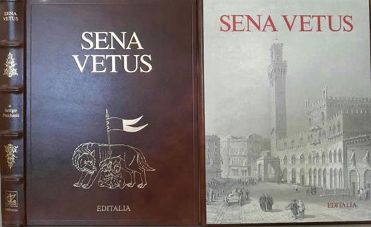 Sena vetus - Arrigo Pecchioli - copertina