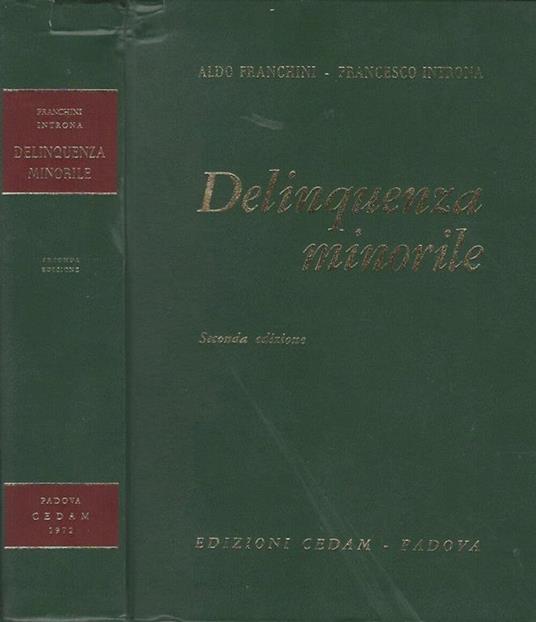 Delinquenza minorile. Problemi medico-legali, psicologici e giuridico-sociali - Aldo Franchini - copertina