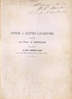 Intorno a quattro laparotomie