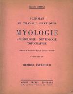 Schèmas de travaux pratiques . Myologie - Angèiologie - Nèvrologie - Topographie Fascicule IV. Membre infèrieur
