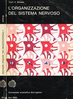 L' organizzazione del sistema nervoso