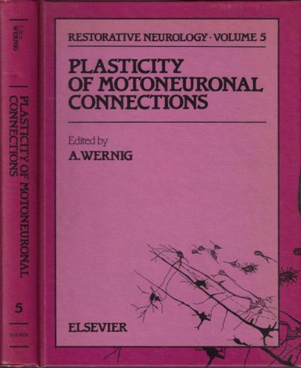 Plasticity Motoneuronal Connections - A. Wernig - copertina