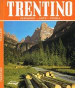 Trentino. Paesaggio-Arte-Storia