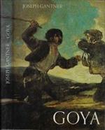 Goya. Der kunstler und seine welt