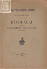 Ragguagli sui lavori eseguiti nell'anno XIX. (1890-91)