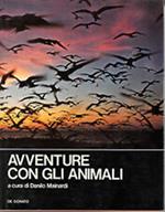 Avventure Con Gli Animali
