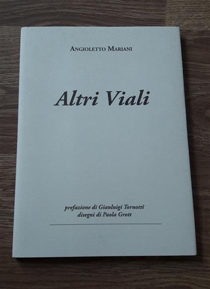 Altri Viali - copertina